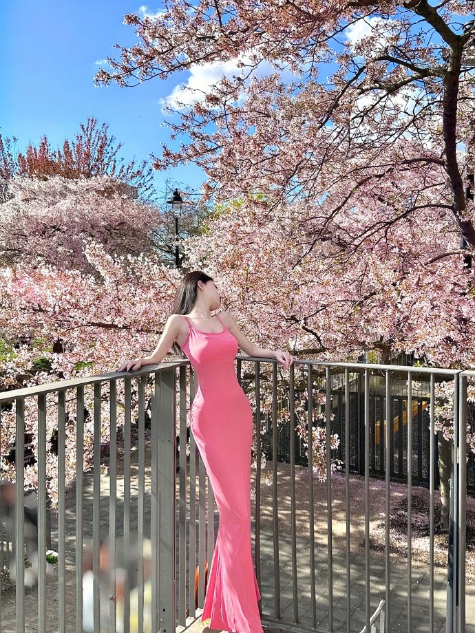 绿皮书