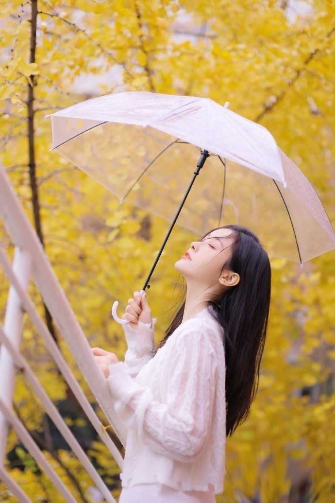 漫长的季节 封面