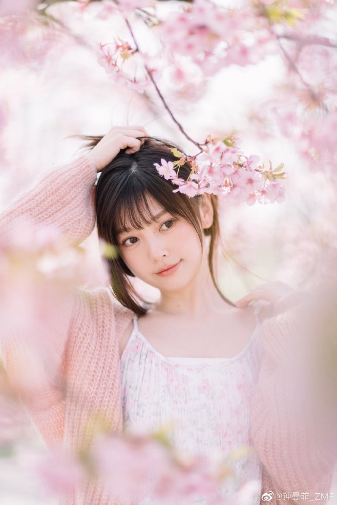 小偷家族