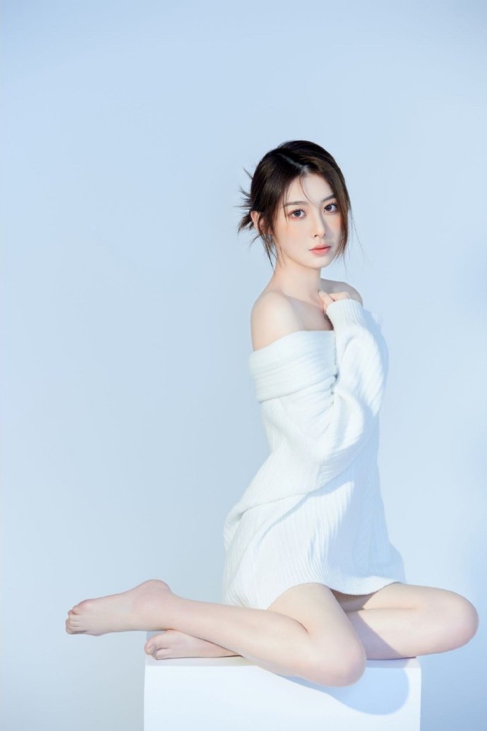 甄嬛传 封面