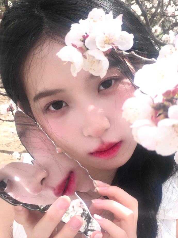 小姐 封面